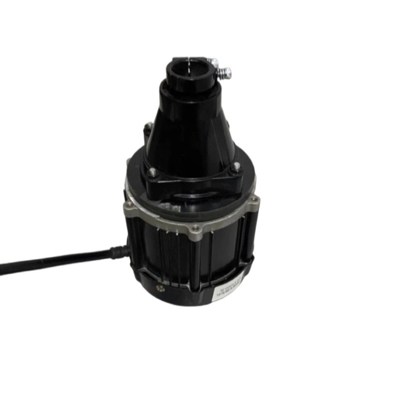 Moteur hors-bord sans balais 1 - Fishing Boat Outboard Motor avis et prix