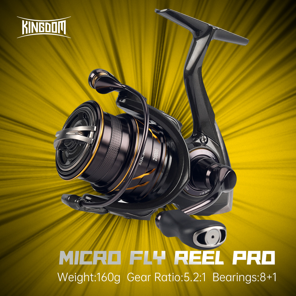 Moulinet de pêche spinning Kin - Abu Garcia Reel Revo avis et prix