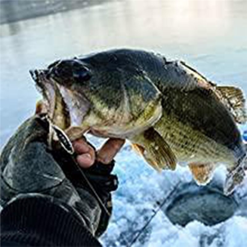 ABLB - Sondeur de pêche portab - Fishing Boat Depth Finder avis et prix